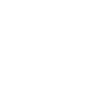 FlyDragon Logo