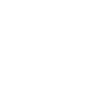 FlyDragon Logo