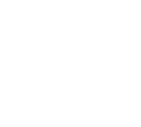 FlyDragon Logo