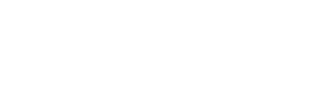 FlyDragon Logo